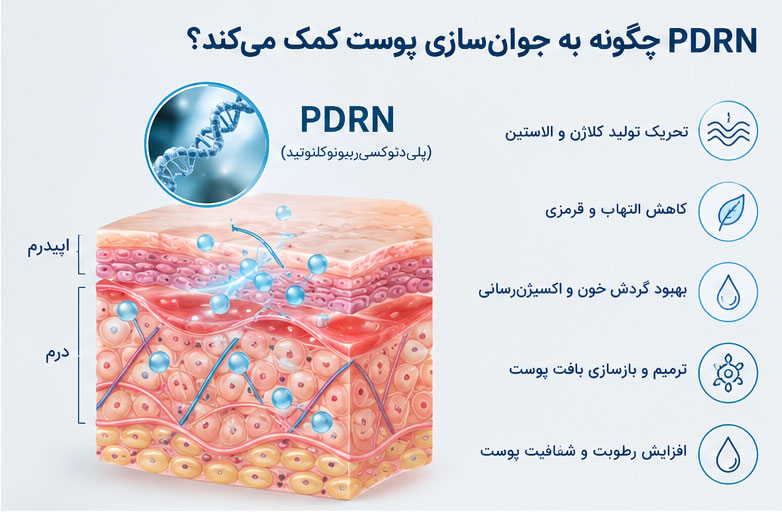 PDRN چگونه باعث جوان‌سازی پوست می‌شود؟